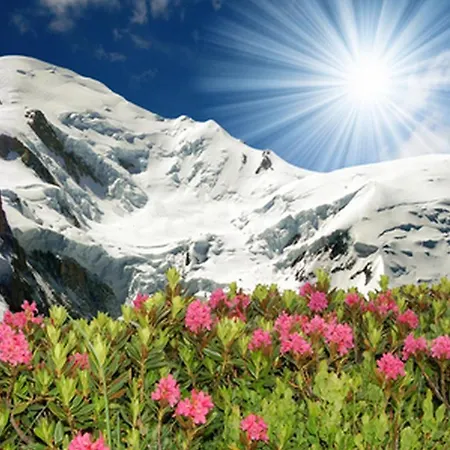 L'outa 409 Apartment Chamonix
